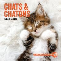 Première de couverture de Calendrier mural chats et chatons 2024
