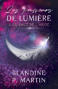 Première de couverture de Les Passeurs de Lumière - 3. Le Saut de l'Ange